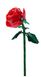 Конструктор цветок Розы цвет красный Constructor flower Roses color red 10101_R