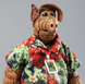 Фигурка ALF подвижная 15 см / Коллекционная игрушка Альф из сериала / NECA Action Figure Alien Life Form / фигурка с аксессуарами - камера, телефон, сумка, очки