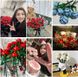 Конструктор цветок Розы цвет красный Constructor flower Roses color red 10101_R