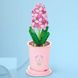 Конструктор квітка у горщику Гіацинт Серія «Вічні квіти» Constructor flower in a pot Hyacinth 8814-8