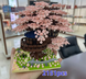 Конструктор Цветущие вишневое дерево серия Бонсай домик на дереве constructor  Cherry tree in bloom