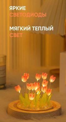 Нічник світильник тюльпани в колбі з LED підсвічуванням, на підставці