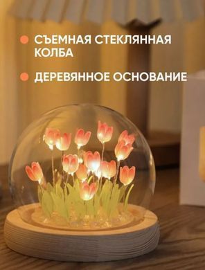 Нічник світильник тюльпани в колбі з LED підсвічуванням, на підставці