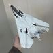 Модель палубного винищувача Ф-14, 26 см